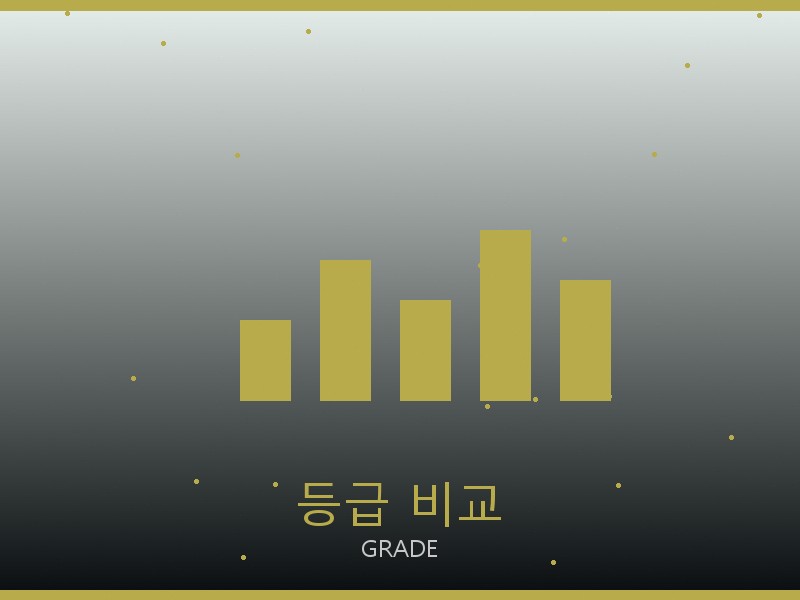 여자 레플리카 사이트 등급 기준 비교